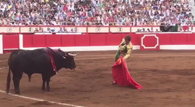 Dávila Miura toreando en Santander Dávila Miura toreando en Santander