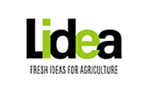 Lidea Lidea